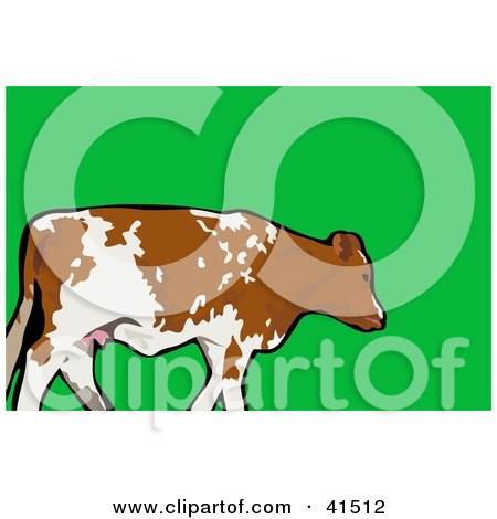 Clipart Illustration of a Walking White And Brown Cow In A Pasture by Prawny