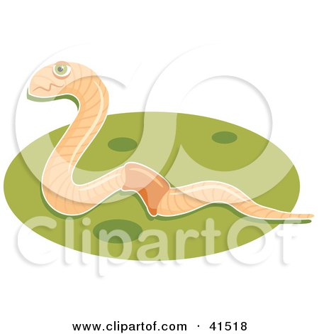 Clipart Illustration of a Happy Earthworm On Green Grass by Prawny