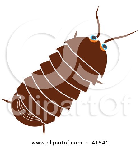 Clipart Illustration of a Brown Roly Poly Bug by Prawny