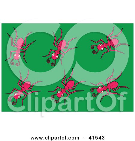 Clipart Illustration of Six Pink Ants on a Green Background by Prawny