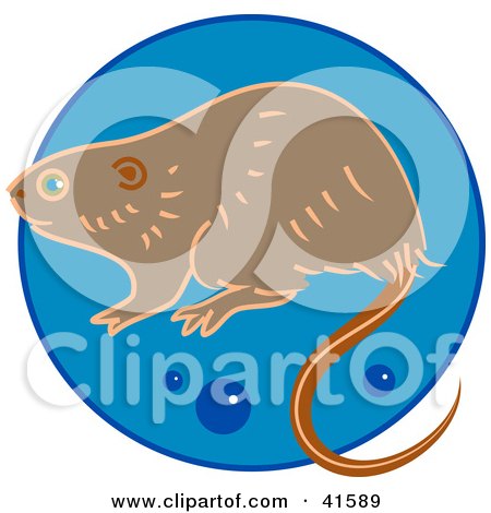 Clipart Illustration of a Brown Muskrat Over A Blue Circle by Prawny