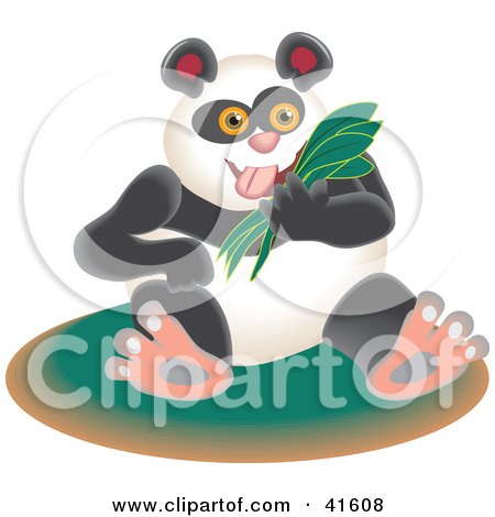 Clipart Illustration of a Happy Giant Panda Munching On Bamboo by Prawny