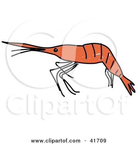 Clipart Illustration of a Sketched Shrimp by Prawny