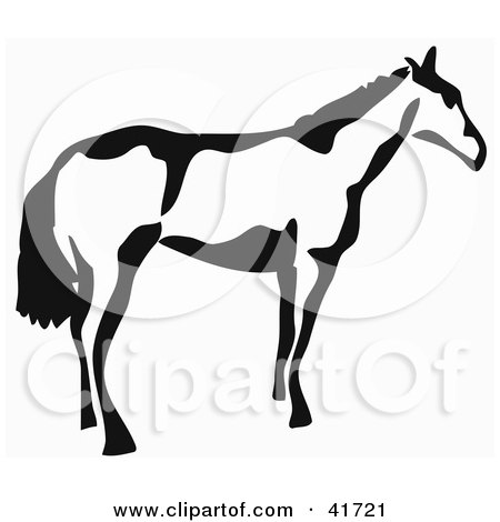 Clipart Illustration of a Black And White Paintbrush Stroke Styled Horse by Prawny