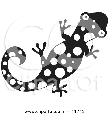 Clipart Illustration of a Black And White Spotted Gecko by Prawny