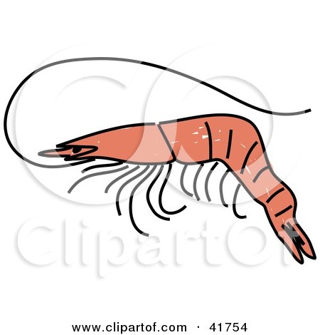 Clipart Illustration of a Sketched Pink Prawn by Prawny