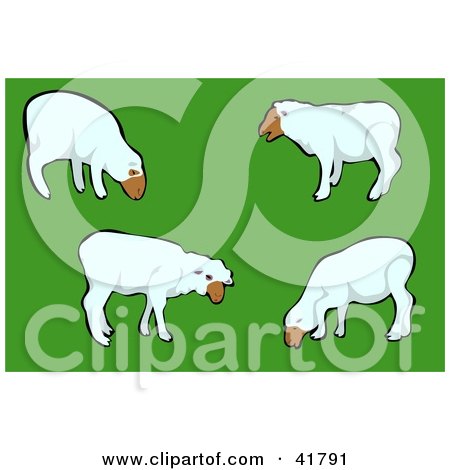 Clipart Illustration of a Group Of White Sheep Grazing In A Green Pasture by Prawny