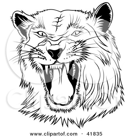 Clipart Illustration of a Black and White Hissing Panther by dero