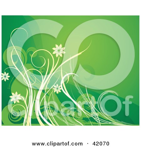 Clipart Illustration of a Green Floral Background Of White And Green Flowers And Vines by L2studio