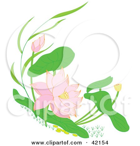 Clipart Illustration of Pink Blooming Water Lilies by Cherie Reve