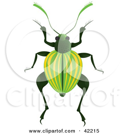 Clipart Illustration of a Green Beetle With Yellow Lines On Its Wings by Paulo Resende