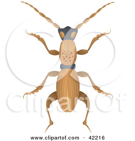 Clipart Illustration of a Long Brown Beetle With Spots On Its Back by Paulo Resende