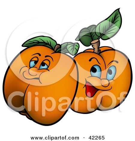 Clipart Illustration of Two Grumpy Apricots by dero