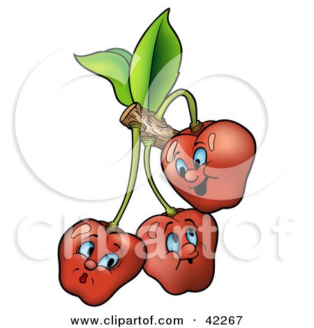 Clipart Illustration of Three Expressive Cherries On A Branch by dero
