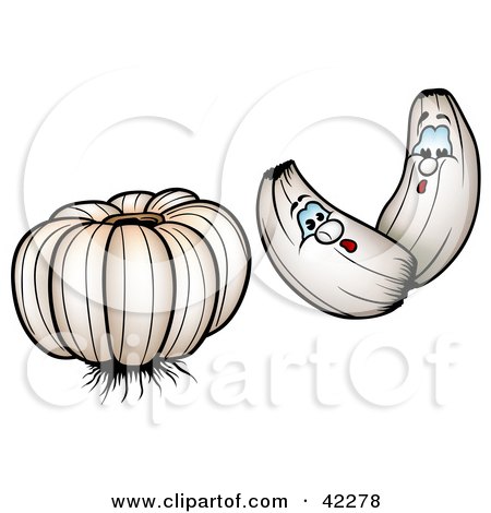 Clipart Illustration of Two Garlic Cloves By A Head Of Garlic by dero