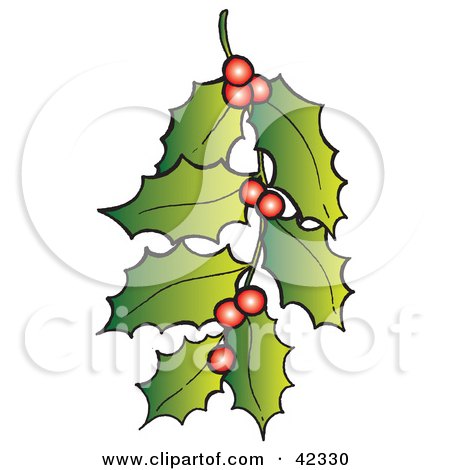 Clipart Illustration of a Stem of Xmas Holly And Red Berries by Snowy