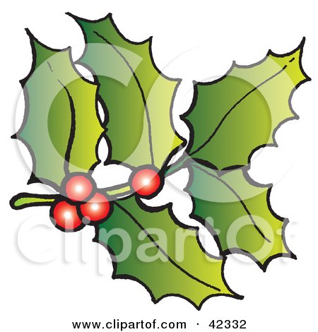 Clipart Illustration of a Stem of Holly And Red Berries by Snowy
