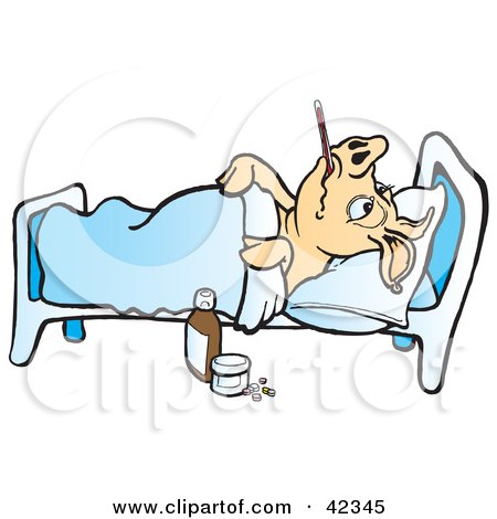 Clipart Illustration of a Sick Pick With A Thermometer In His Mouth, Resting In A Hospital Bed by Snowy