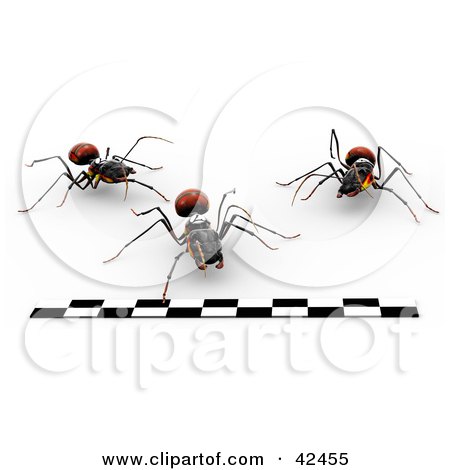 Clipart Illustration of Three Ants Running Forward Towards A Finish Line In A Race by Leo Blanchette