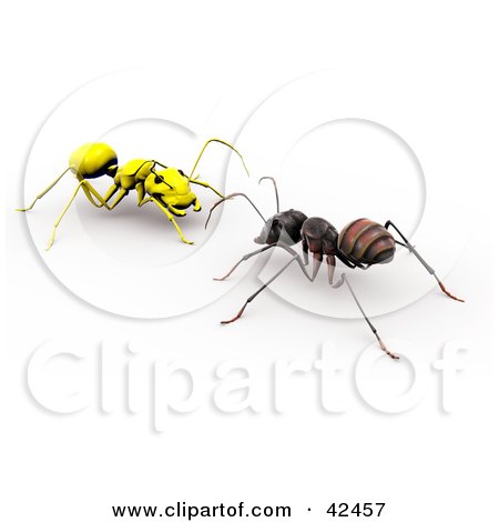 Clipart Illustration of a Worker Ant Facing A Bright Yellow Ant by Leo Blanchette