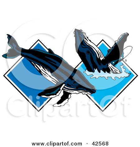 Clipart Illustration of Two Whales Frolicking In Blue Water Diamonds by Dennis Holmes Designs