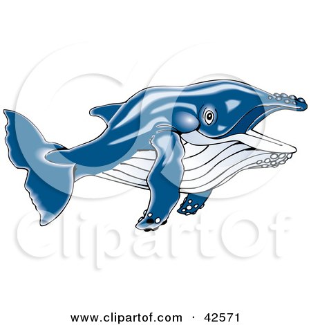 Clipart Illustration of a Swimming Blue Whale by Dennis Holmes Designs