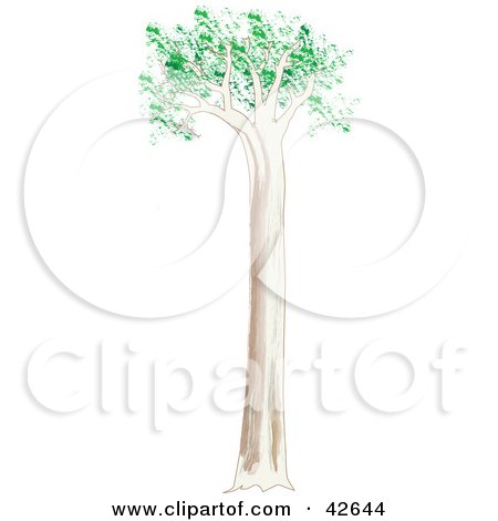 Clipart Illustration of a Tall Gum Tree by Dennis Holmes Designs