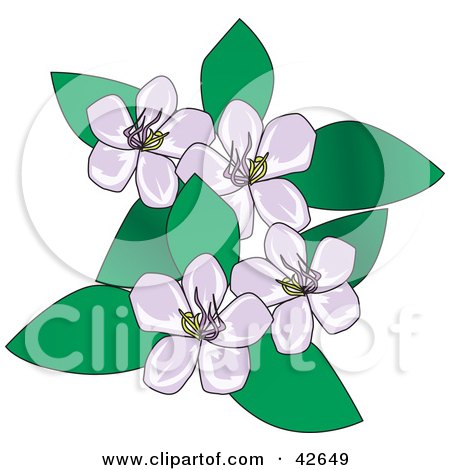 Clipart Illustration of a Cluster Of Pale Purple Flowers And Green Leaves by Dennis Holmes Designs