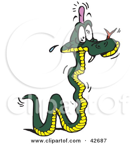Clipart Illustration of a Green And Yellow Snake With A Bump On His Head by Dennis Holmes Designs