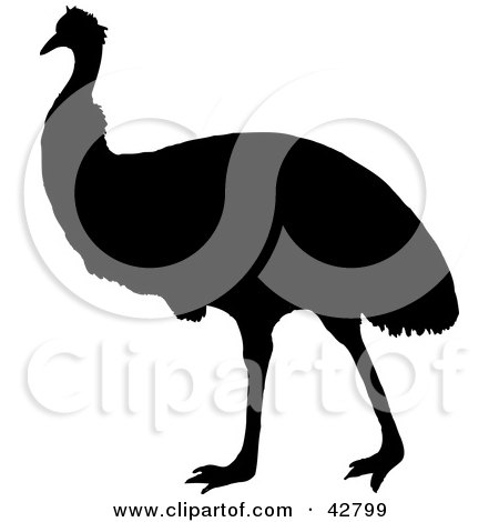 Clipart Illustration of a Black And White Silhouetted Emu by Dennis Holmes Designs