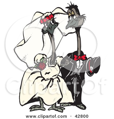 Clipart Illustration of an Emu Bride And Groom Adoring Each Other by Dennis Holmes Designs