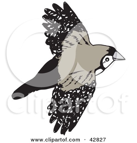 Clipart Illustration of a Flying Double Bar Finch Bird by Dennis Holmes Designs