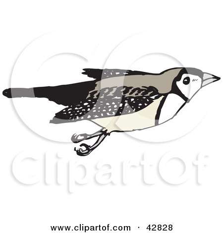 Clipart Illustration of a Double Bar Finch Bird Flying by Dennis Holmes Designs