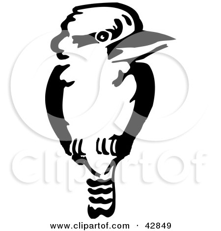 Clipart Illustration of a Black And White Kookaburra Bird by Dennis Holmes Designs