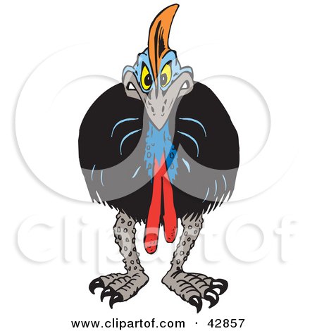 Clipart Illustration of an Angry Cassowary Facing Front by Dennis Holmes Designs