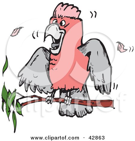 Clipart Illustration of a Pink And Grey Galah Cockatoo Bird On A Branch by Dennis Holmes Designs