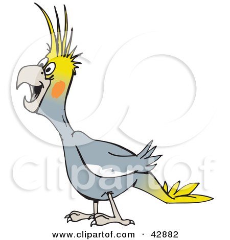 Clipart Illustration of a Laughing Gray Cockatiel by Dennis Holmes Designs