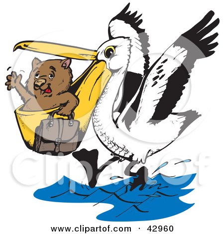 Clipart Illustration of a Wombat Being Transported In A Pelicans Beak by Dennis Holmes Designs