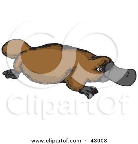Clipart Illustration of a Brown Platypus by Dennis Holmes Designs