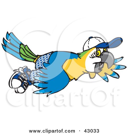 Clipart Illustration of a Blue And Yellow Macaw Flying In Shorts And A Hat by Dennis Holmes Designs