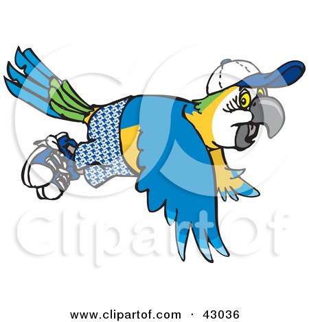 Clipart Illustration of a Blue And Yellow Macaw Wearing Shorts And A ...