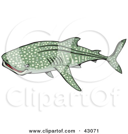 Clipart Illustration of a Spotted Green Whale Shark by Dennis Holmes Designs