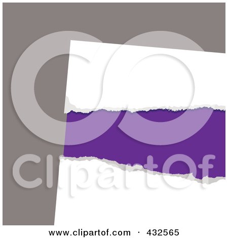Royalty-Free (RF) Clipart Illustration of Purple Showing Through Ripped White Paper On Gray by michaeltravers