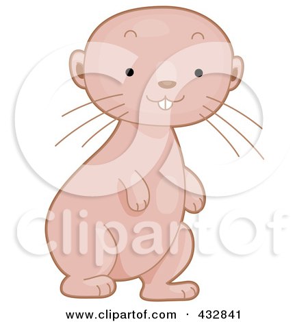 Royalty-Free (RF) Clipart Illustration of a Cute Baby Naked Mole Rat Standing by BNP Design Studio