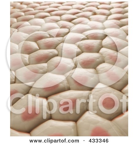 Royalty-Free (RF) Clipart Illustration Of A 3d Background Of Skin Tissue by Mopic