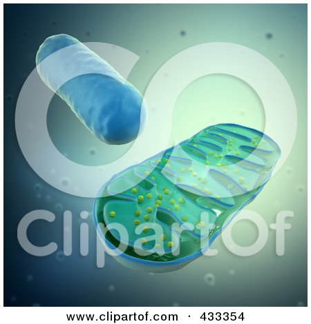 Royalty-Free (RF) Clipart Illustration Of A 3d Mitochondrium by Mopic