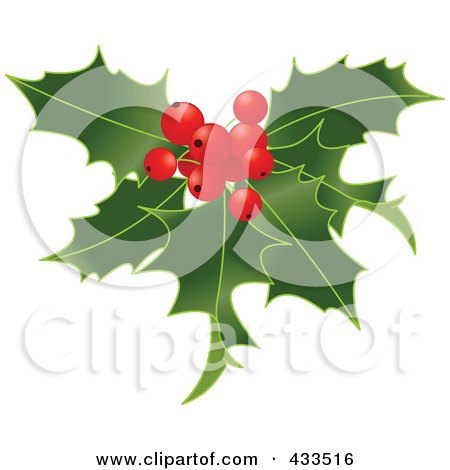 Royalty-Free (RF) Clipart Illustration Of Holly Leaves With Berries by Pushkin