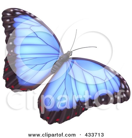 Royalty-Free (RF) Clipart Illustration of a Pretty Blue Butterfly by AtStockIllustration