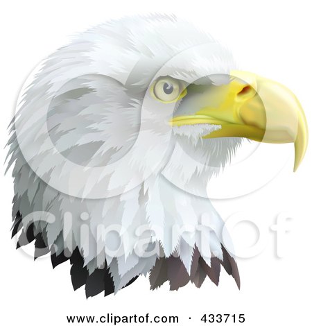 Royalty-Free (RF) Clipart Illustration of a Profiled Eagle Head by AtStockIllustration