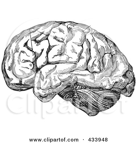 Royalty-Free (RF) Clipart Illustration of a Black And White Human Anatomical Brain Drawing - 3 by BestVector
